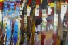 Colourful Woods Trees 688