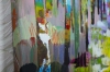 Colourful Woods Trees 688