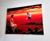 Scarlet Evening in Summer
