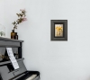Framed Flowers and Light