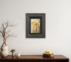 Framed Flowers and Light