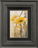 Framed Flowers and Light