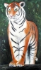 Green Eyed Tiger