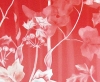 Hogweed in red