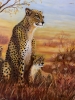 CHEETAH FAMILY