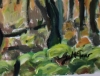 Dartmoor Trees