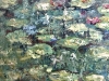 Water Field - Original Oil Painting | 60 × 120 cm