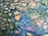 Water Field - Original Oil Painting | 60 × 120 cm