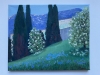 „Cypress dreams“ 