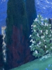 „Cypress dreams“ 