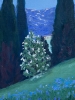 „Cypress dreams“ 