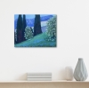 „Cypress dreams“ 