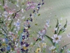 Mint Meadow 