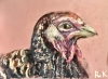 Blush & Plum Turkeys