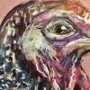 Blush & Plum Turkeys