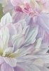 DELICATE DAHLIAS