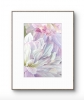 DELICATE DAHLIAS