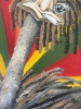 ‘Just Chilling’ Emu