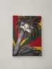 ‘Just Chilling’ Emu
