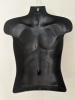 Autumn leaves Torso