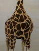 Floral Giraffe 