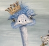 The Regal Emu