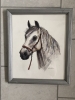Horse head