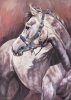 Looking Back - Grey Horse
