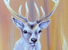 Nascent Stag