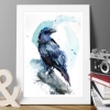 Raven V