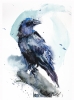Raven V