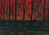 Red Marsh