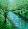 River Reflections, Shadows and Light