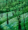 River Reflections, Shadows and Light