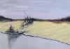 Sandy Slope