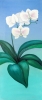 Snowy orchid