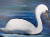 Swan Vignette style
