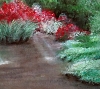 The Dappled Path