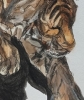\"Tiger - Golden Stretch\"