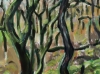 Dartmoor Trees