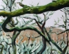 Dartmoor Trees