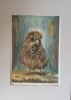 \"Sparrow Study\"