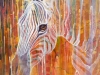 Zebra Queen