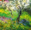 Spring in Provence 