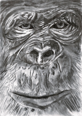 Gorilla print