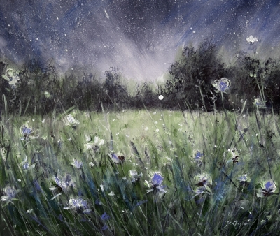 A Dream Under The Stars