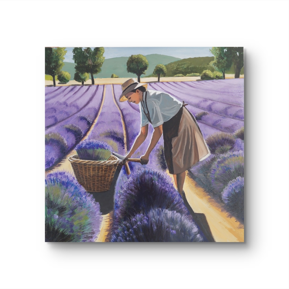 Violet foncé en Provence 