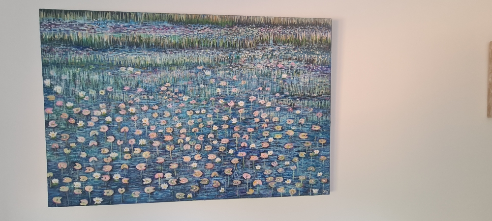 Lily pond 