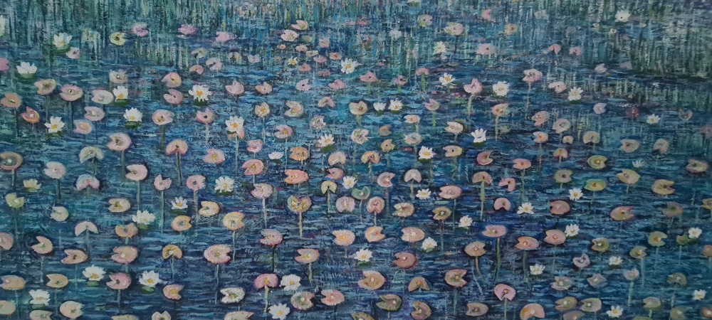 Lily pond 