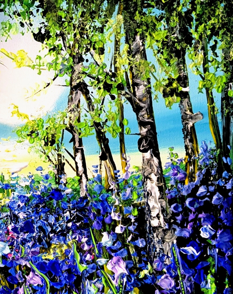 Bluebell woods 